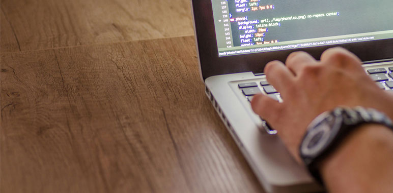 El mantenimiento de WordPress