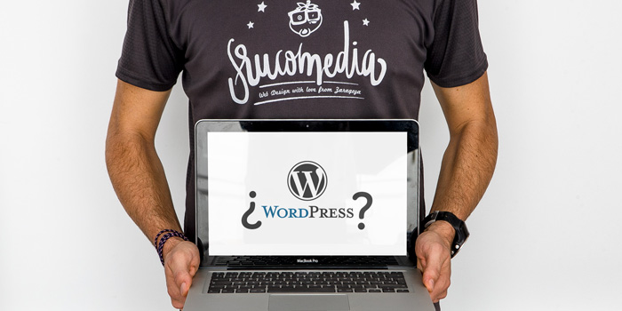Necesito una web ¿me vale con Wordpress?
