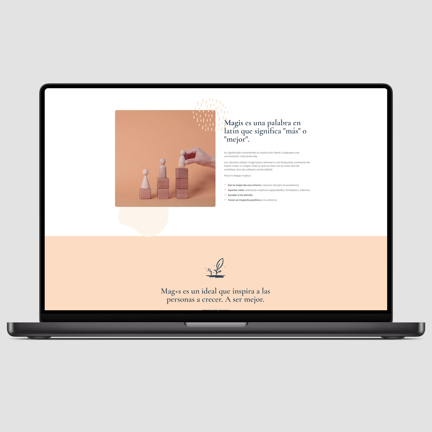 Pantallazo Magis TMC